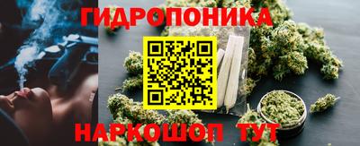 спиды Новодвинск