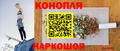 стаф Новозыбков