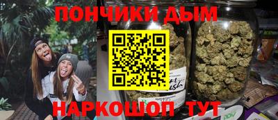 спиды Новодвинск