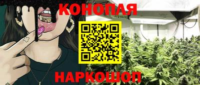стаф Новозыбков
