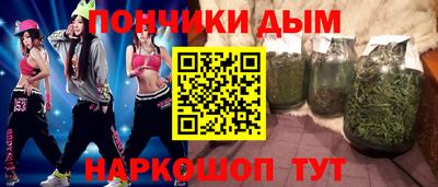 спиды Новодвинск