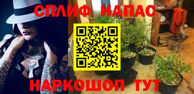 стаф Новозыбков
