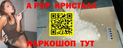 спиды Новодвинск